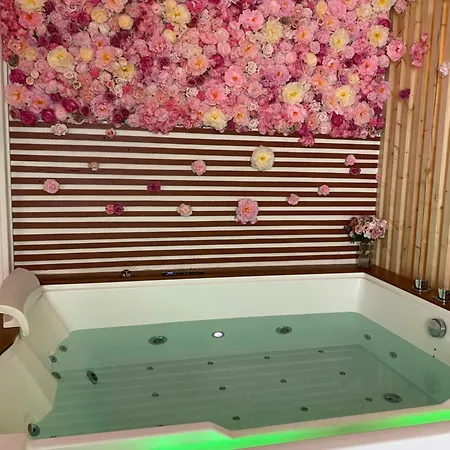 Apparemment Jacuzzi Balneo Centre De アパート ボルドー